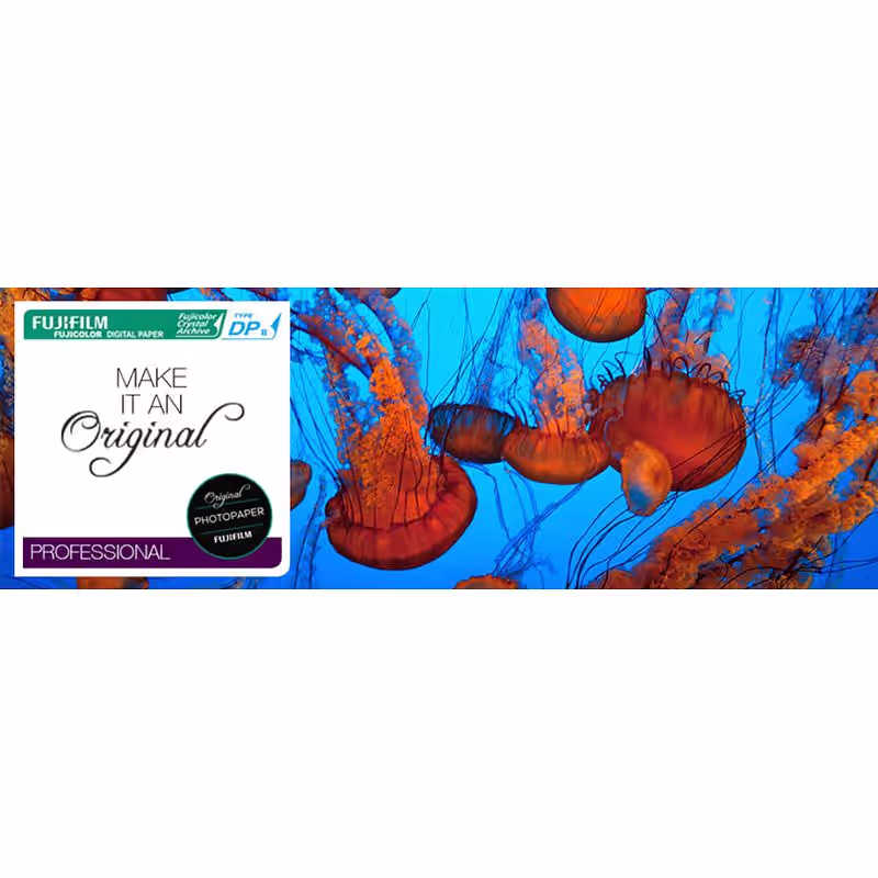 FUJI CA Typ DP II LG Digital glossy 17,8cmx167,6m