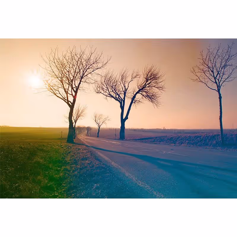 KONO! Mirage 200 Effekt Negativ-Farbfilm, 135-36 – Bild 2