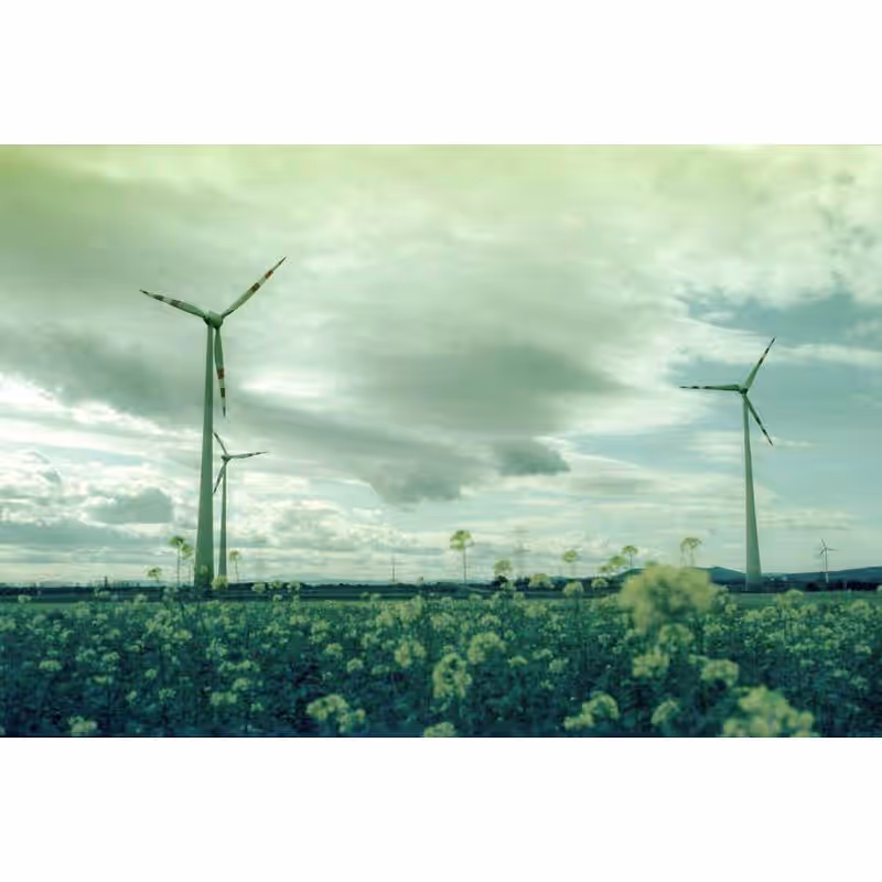 KONO! Monsoon 200 Effekt Negativ-Farbfilm, 135-36 – Bild 2