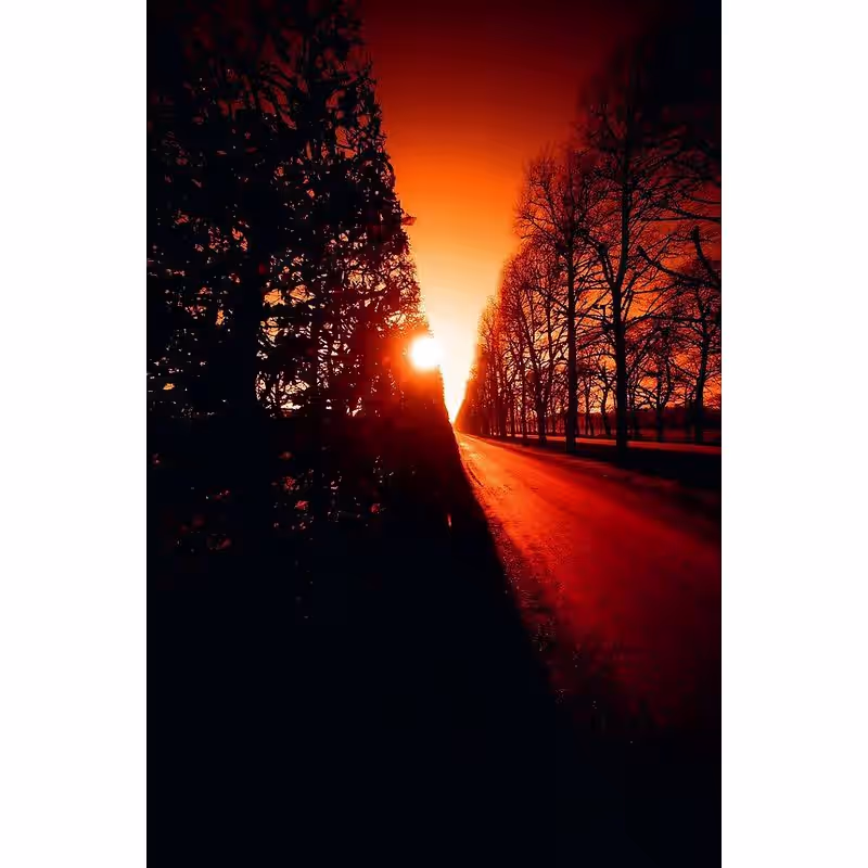 KONO! Rotwild 200 Effekt Negativ-Farbfilm, 135-36 – Bild 3